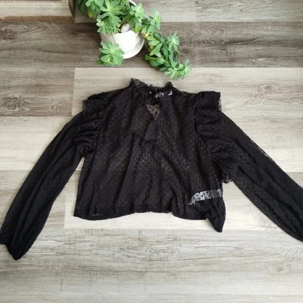 Zara Sheer Black Ruffled Blouse Large